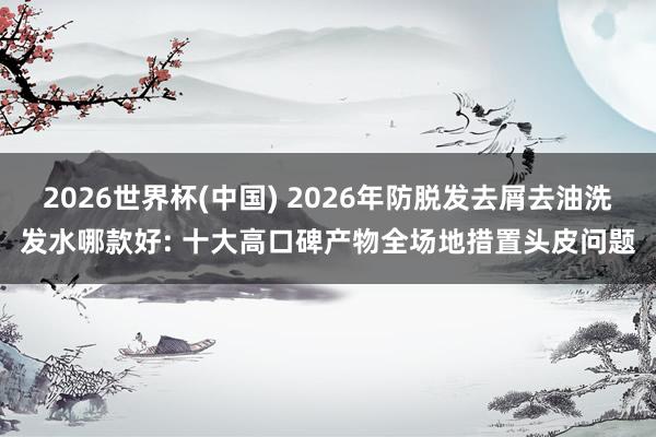 2026世界杯(中国) 2026年防脱发去屑去油洗发水哪款好: 十大高口碑产物全场地措置头皮问题
