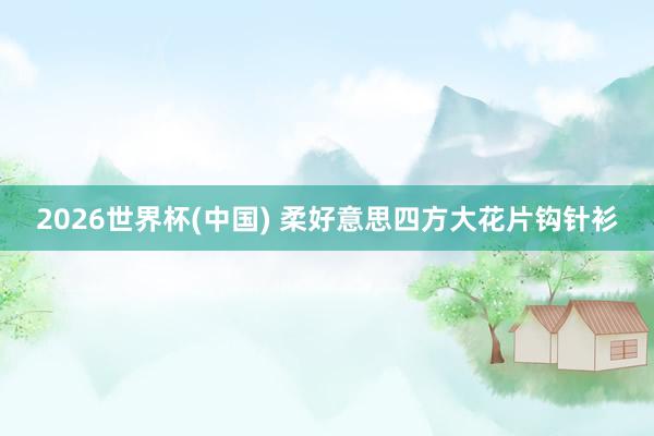 2026世界杯(中国) 柔好意思四方大花片钩针衫