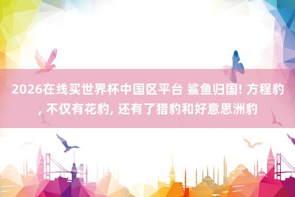 2026在线买世界杯中国区平台 鲨鱼归国! 方程豹， 不仅有花豹， 还有了猎豹和好意思洲豹