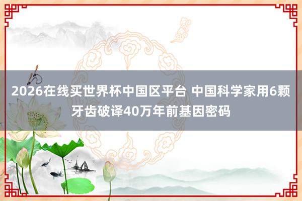 2026在线买世界杯中国区平台 中国科学家用6颗牙齿破译40万年前基因密码