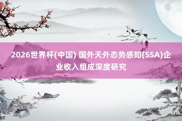 2026世界杯(中国) 国外天外态势感知(SSA)企业收入组成深度研究