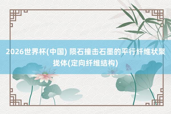2026世界杯(中国) 陨石撞击石墨的平行纤维状聚拢体(定向纤维结构)