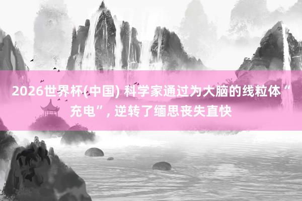 2026世界杯(中国) 科学家通过为大脑的线粒体“充电”, 逆转了缅思丧失直快
