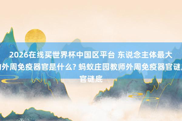 2026在线买世界杯中国区平台 东说念主体最大的外周免疫器官是什么? 蚂蚁庄园教师外周免疫器官谜底