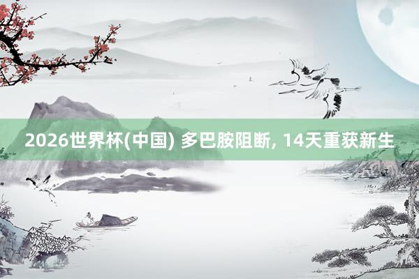 2026世界杯(中国) 多巴胺阻断, 14天重获新生