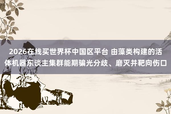 2026在线买世界杯中国区平台 由藻类构建的活体机器东谈主集群能期骗光分歧、磨灭并靶向伤口