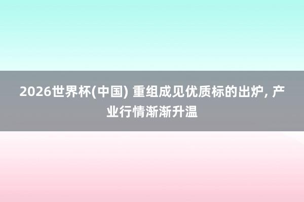 2026世界杯(中国) 重组成见优质标的出炉, 产业行情渐渐升温