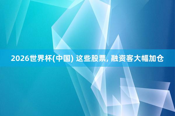 2026世界杯(中国) 这些股票, 融资客大幅加仓