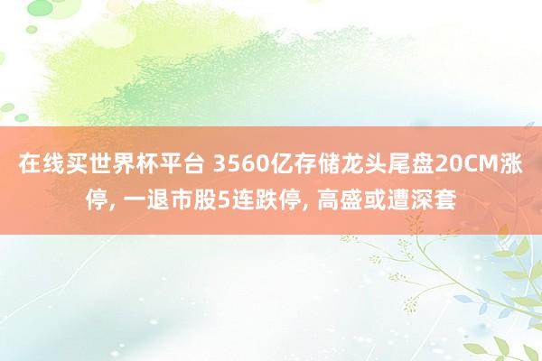 在线买世界杯平台 3560亿存储龙头尾盘20CM涨停, 一退市股5连跌停, 高盛或遭深套