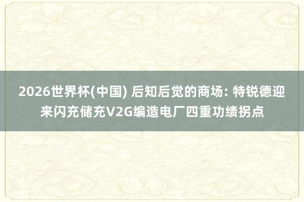 2026世界杯(中国) 后知后觉的商场: 特锐德迎来闪充储充V2G编造电厂四重功绩拐点