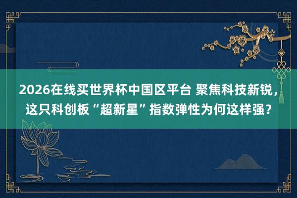 2026在线买世界杯中国区平台 聚焦科技新锐,这只科创板“超新星”指数弹性为何这样强?