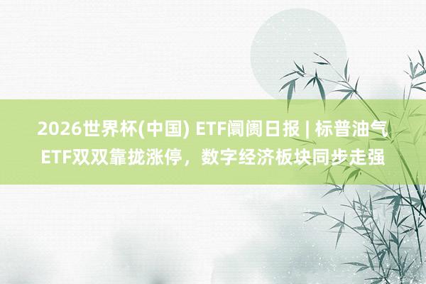 2026世界杯(中国) ETF阛阓日报 | 标普油气ETF双双靠拢涨停,数字经济板块同步走强