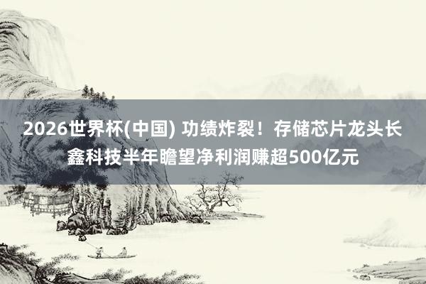 2026世界杯(中国) 功绩炸裂!存储芯片龙头长鑫科技半年瞻望净利润赚超500亿元