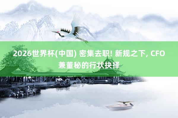 2026世界杯(中国) 密集去职! 新规之下, CFO兼董秘的行状抉择