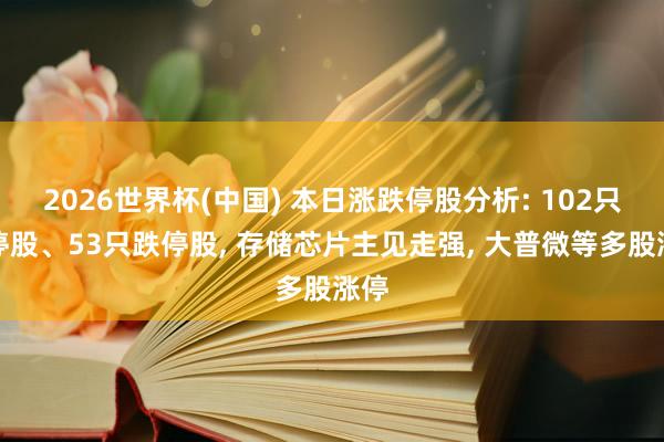 2026世界杯(中国) 本日涨跌停股分析: 102只涨停股、53只跌停股, 存储芯片主见走强, 大普微等多股涨停