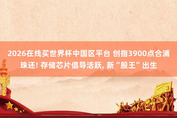2026在线买世界杯中国区平台 创指3900点合浦珠还! 存储芯片倡导活跃, 新“股王”出生