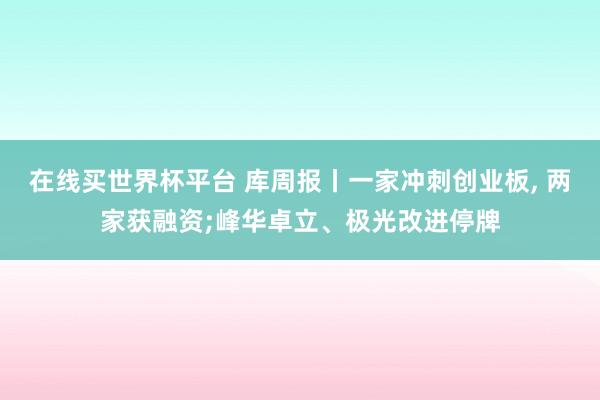 在线买世界杯平台 库周报丨一家冲刺创业板, 两家获融资;峰华卓立、极光改进停牌