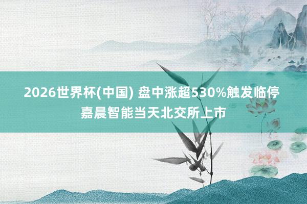 2026世界杯(中国) 盘中涨超530%触发临停 嘉晨智能当天北交所上市