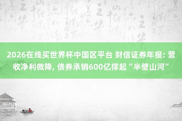 2026在线买世界杯中国区平台 财信证券年报: 营收净利微降, 债券承销600亿撑起“半壁山河”
