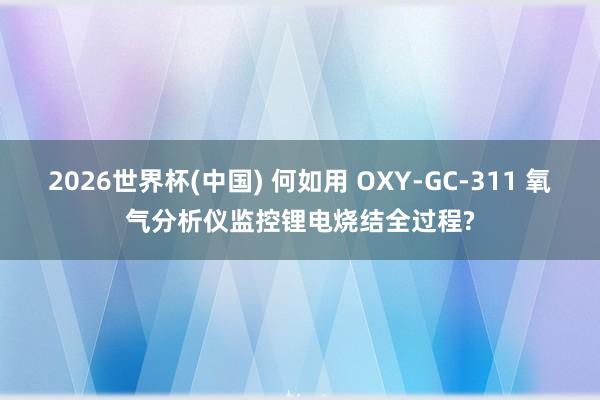 2026世界杯(中国) 何如用 OXY-GC-311 氧气分析仪监控锂电烧结全过程?