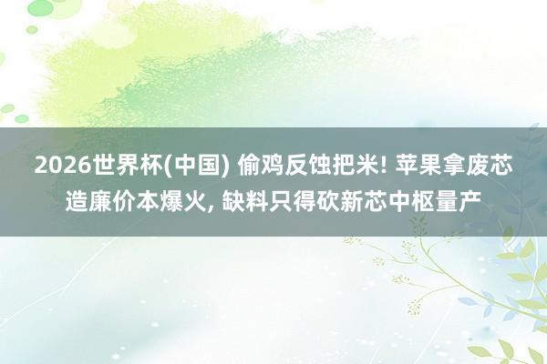 2026世界杯(中国) 偷鸡反蚀把米! 苹果拿废芯造廉价本爆火， 缺料只得砍新芯中枢量产