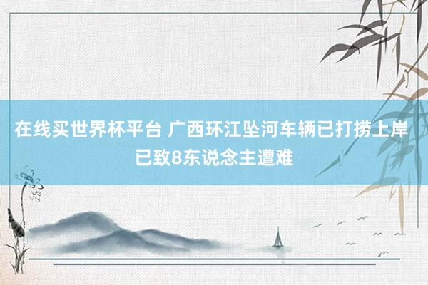 在线买世界杯平台 广西环江坠河车辆已打捞上岸 已致8东说念主遭难