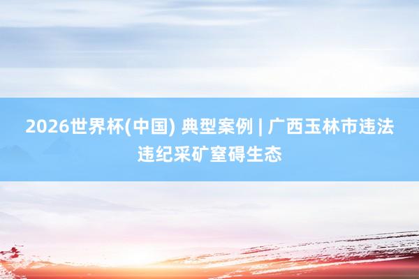 2026世界杯(中国) 典型案例 | 广西玉林市违法违纪采矿窒碍生态