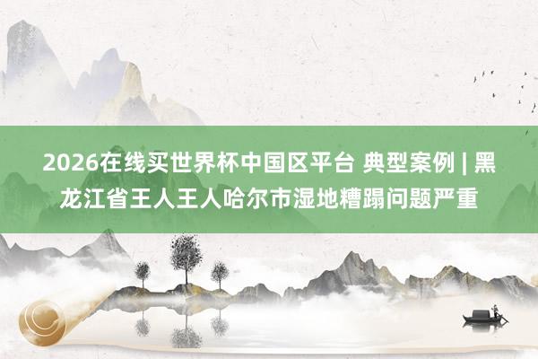 2026在线买世界杯中国区平台 典型案例 | 黑龙江省王人王人哈尔市湿地糟蹋问题严重