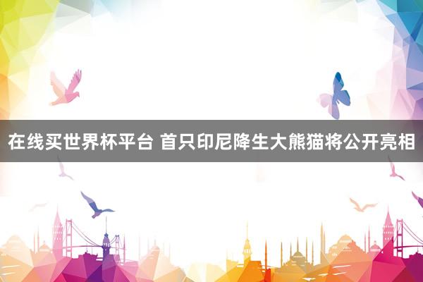 在线买世界杯平台 首只印尼降生大熊猫将公开亮相