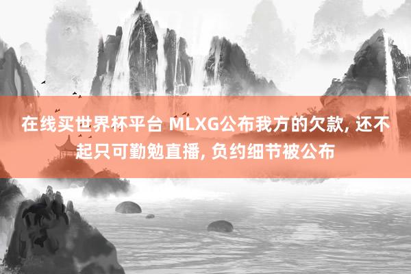 在线买世界杯平台 MLXG公布我方的欠款, 还不起只可勤勉直播, 负约细节被公布