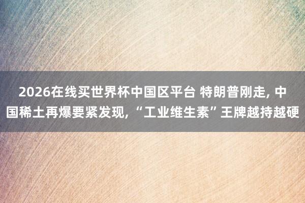 2026在线买世界杯中国区平台 特朗普刚走, 中国稀土再爆要紧发现, “工业维生素”王牌越持越硬