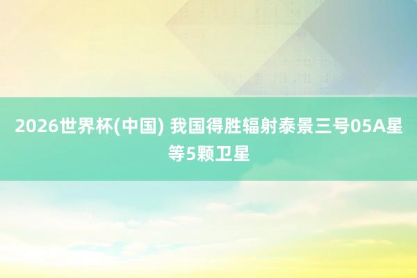 2026世界杯(中国) 我国得胜辐射泰景三号05A星等5颗卫星
