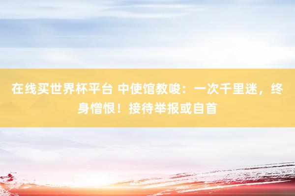 在线买世界杯平台 中使馆教唆:一次千里迷,终身憎恨!接待举报或自首