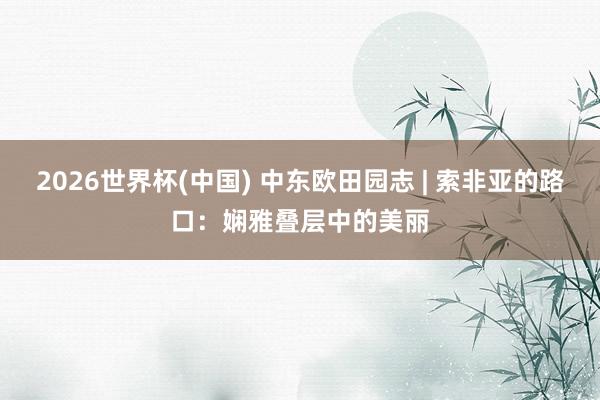 2026世界杯(中国) 中东欧田园志 | 索非亚的路口:娴雅叠层中的美丽