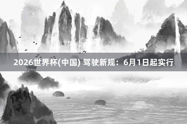 2026世界杯(中国) 驾驶新规:6月1日起实行