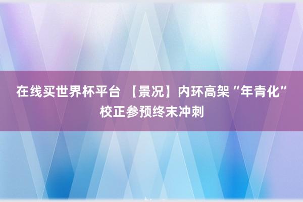 在线买世界杯平台 【景况】内环高架“年青化”校正参预终末冲刺