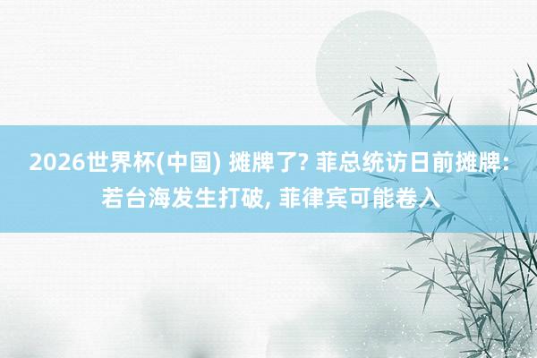 2026世界杯(中国) 摊牌了? 菲总统访日前摊牌: 若台海发生打破, 菲律宾可能卷入