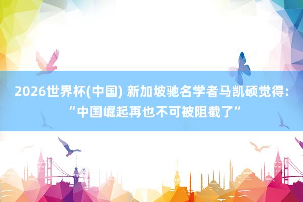 2026世界杯(中国) 新加坡驰名学者马凯硕觉得: “中国崛起再也不可被阻截了”