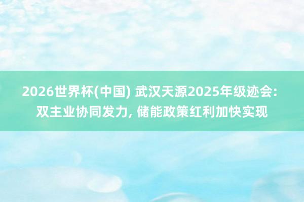 2026世界杯(中国) 武汉天源2025年级迹会: 双主业协同发力, 储能政策红利加快实现