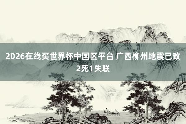 2026在线买世界杯中国区平台 广西柳州地震已致2死1失联