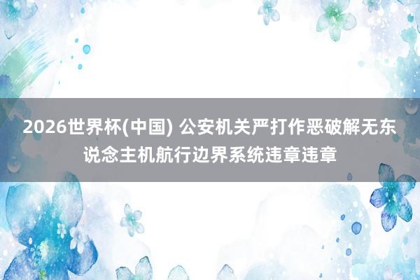 2026世界杯(中国) 公安机关严打作恶破解无东说念主机航行边界系统违章违章