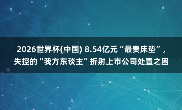 2026世界杯(中国) 8.54亿元“最贵床垫”,失控的“我方东谈主”折射上市公司处置之困