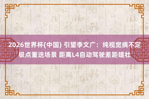 2026世界杯(中国) 引望李文广:纯视觉搞不定极点重迭场景 距离L4自动驾驶差距雄壮