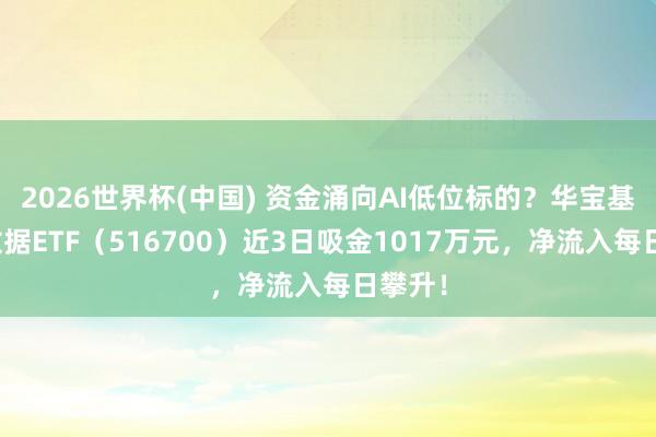 2026世界杯(中国) 资金涌向AI低位标的?华宝基金大数据ETF(516700)近3日吸金1017万元,净流入每日攀升!