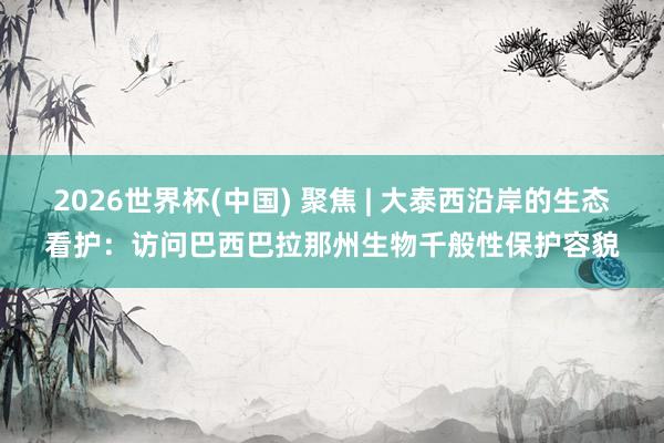 2026世界杯(中国) 聚焦 | 大泰西沿岸的生态看护:访问巴西巴拉那州生物千般性保护容貌