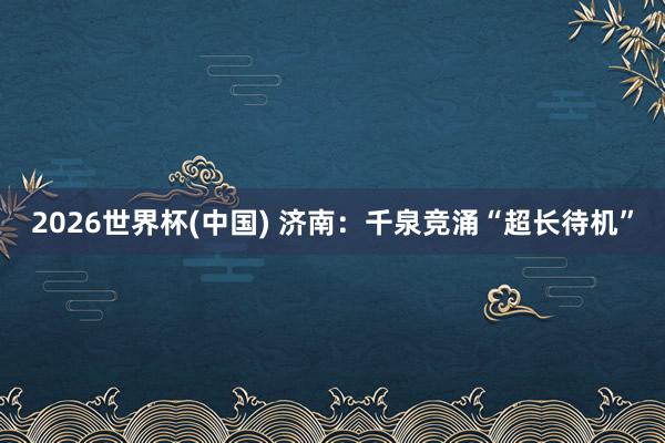 2026世界杯(中国) 济南：千泉竞涌“超长待机”