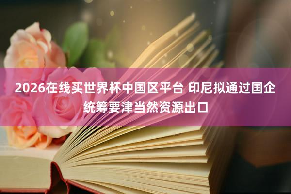 2026在线买世界杯中国区平台 印尼拟通过国企统筹要津当然资源出口