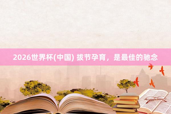 2026世界杯(中国) 拔节孕育,是最佳的驰念