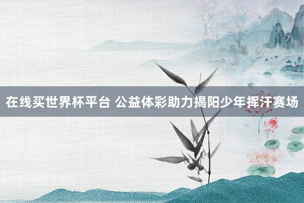 在线买世界杯平台 公益体彩助力揭阳少年挥汗赛场