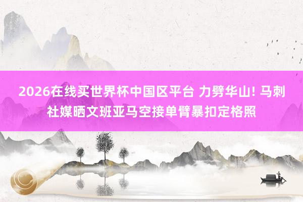 2026在线买世界杯中国区平台 力劈华山! 马刺社媒晒文班亚马空接单臂暴扣定格照